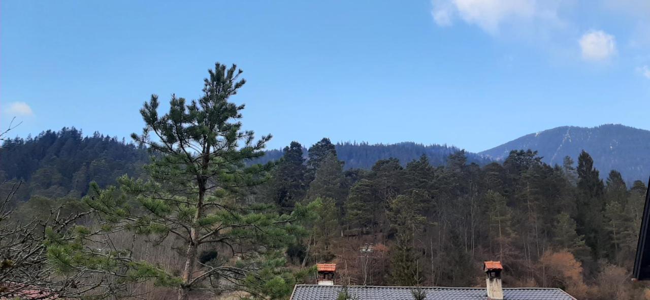 Appartement Im Hasental การ์มิช-พาร์เทนเคียร์เชน ภายนอก รูปภาพ